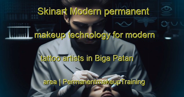Skinart Modern permanent makeup technology for modern tattoo artists in Biga Patan area | PermanentmakeupTraining | PermanentmakeupClasses | SkinartTraining-India